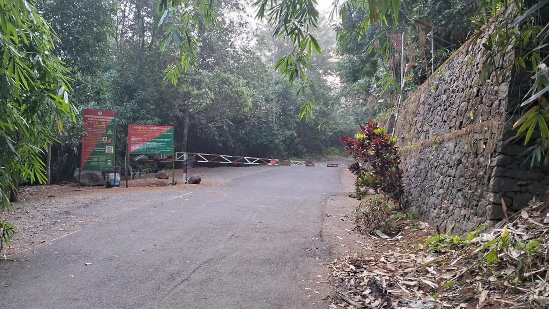 Gateway Of Gavi Homestay Koni